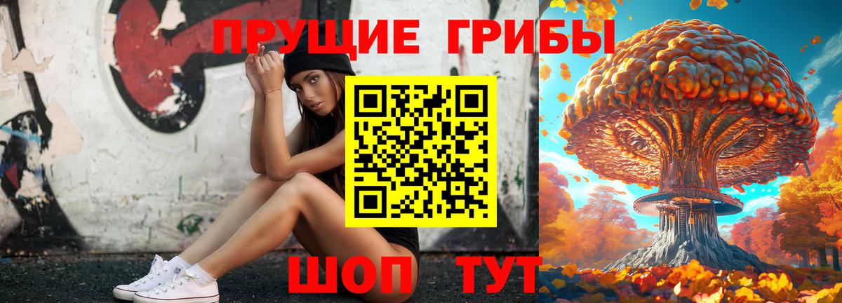 Галлюциногенные грибы мухоморы  Вход с VPN  цены наркотик  Кизляр 